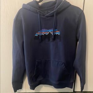Patagonia‎ Navy Hoodie with mountain/bear Design Sz Med